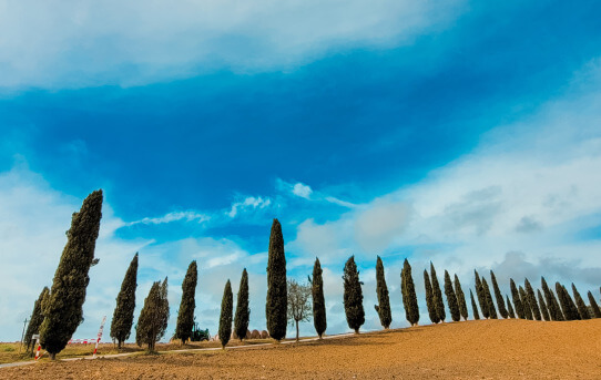 When Tuscany is not at its finest