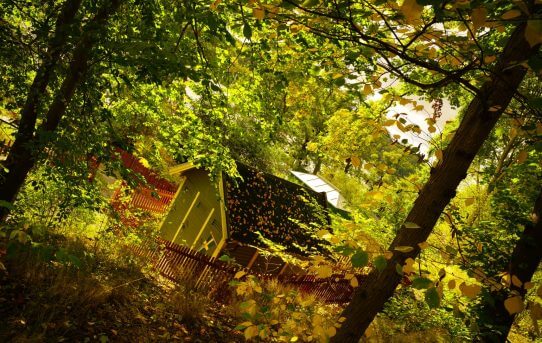 The captured sunshine